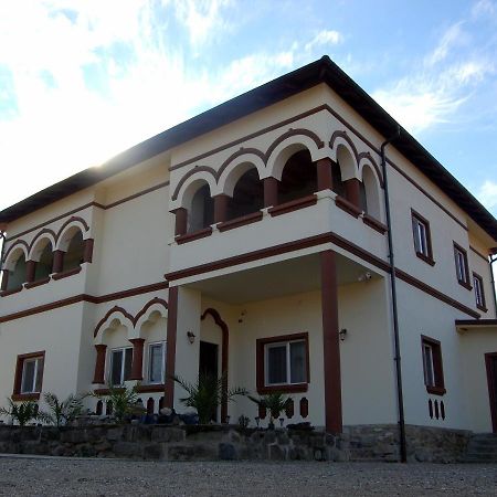 Vila Phoenix Călimăneşti Exterior foto