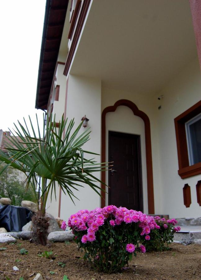 Vila Phoenix Călimăneşti Exterior foto