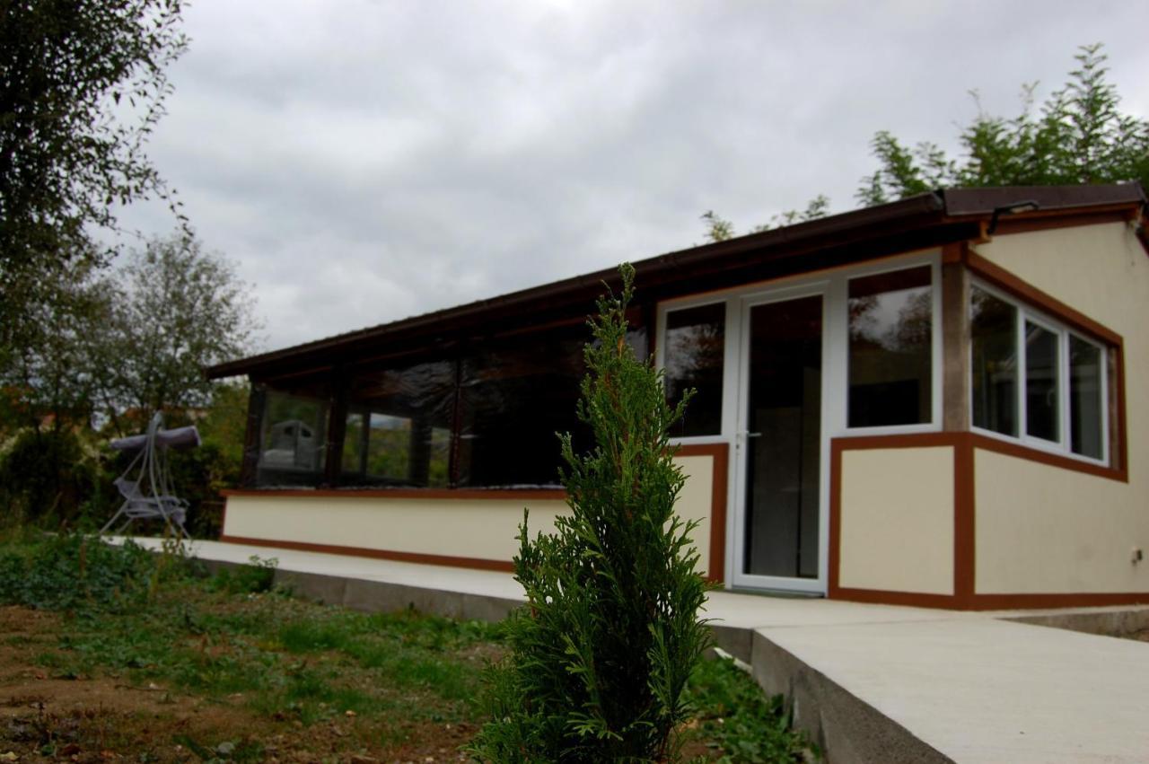 Vila Phoenix Călimăneşti Exterior foto